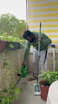 I Miss My Nemo 💔 It Flew Away Today #tamil #birds #pets #pigeon #shots