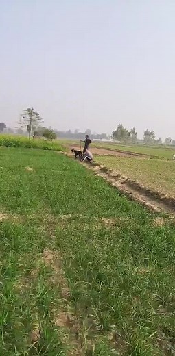 Aman Manan (@aman_manan4)’s videos with original sound - New Punjabi Songs