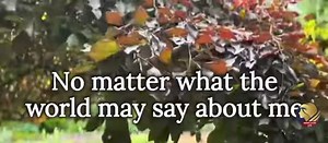 188K views · 5.5K reactions | "I Love You Because 1964 jJim Reeves“I Love You Because" is a song written and recorded by country music singer-songwriter Leon Payne in 1949. The song has been covered by several artists throughout the years, including hit cover versions by Al Martino in 1963 and Jim Reeves in 1964. #cttoOfvideo credit to the owner of the song. #followers #love #song #jimreeves #iloveyoubecause | Jethro Ramirez SGF | Facebook