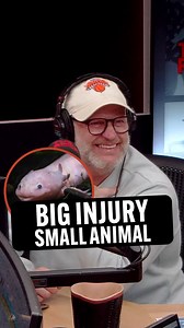 16K views · 277 reactions | A biting axolotl and a muscle eating bug  #BigInjury #SmallAnimal | The Morning Rumble | Facebook