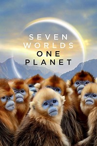 Seven Worlds One Planet Summary, Trailer, Season List, Cast, Where to Watch and More