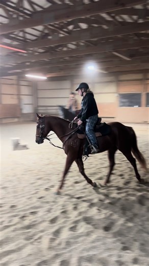 First ride with chili today! He’s an angel and soooo nice. I can not WAIT until he’s a finnished horse, he’s gonna be wicked. #fyp #horses #barrelracer #jesuslovesyou #rodeo