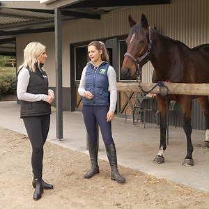 247 reactions · 25 shares | Racing Victoria’s #OffTheTrack Program...