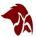 Cedar Springs Red Hawks (Cedar Springs, MI) Football 25-26