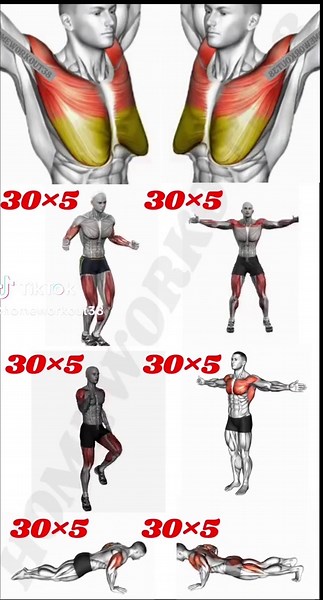 HOMEWORKOUT sur TikTok