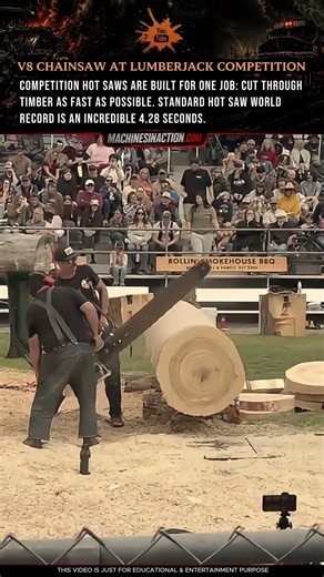 V8 Chainsaw At Lumberjack Competition