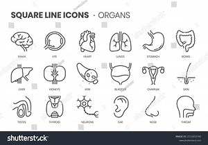 9,947 Black Reproduction Stock Vectors and Vector Art | Shutterstock