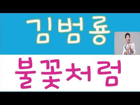 가수 김범룡 _ 불꽃처럼