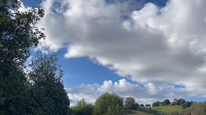 Friends of Susan Branch (F.O.S.B.) on Reels