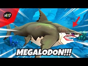 Megalodon Hiu Terbesar! - Hungry Shark World