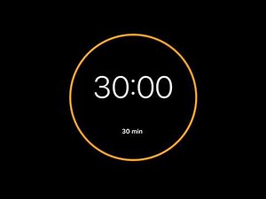 30 Minute Timer | No Sound Countdown