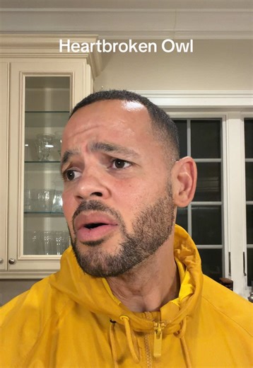 💔 #owl | owl