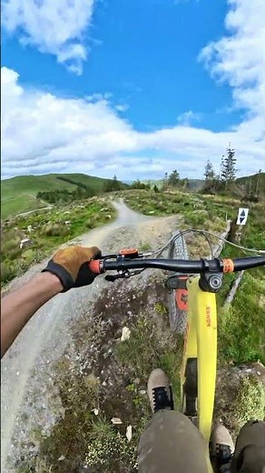 Revolution Bike Park, Free Ride 🤟 #mtb #revolutionbikepark #revs4evs #mountainbike