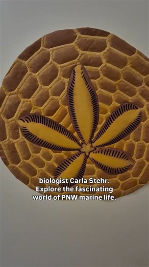 SEA UNSEEN by Carla Stehr - Now On View! Carla Stehr is a retired marine biologist whose highly detailed fiber art looks closely at marine life and natural patterns. The stunning details of the natural world fuel her desire to express the sense of wonder she feels while exploring tide pools or looking through a microscope. Immerse yourself in an underwater world now through March 22nd in our 3rd Floor Galleries 🐟🦈🪼🌊🐚🦪 | Pacific Northwest Quilt & Fiber Arts Museum