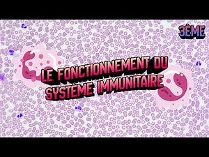 3ème - Le système immunitaire