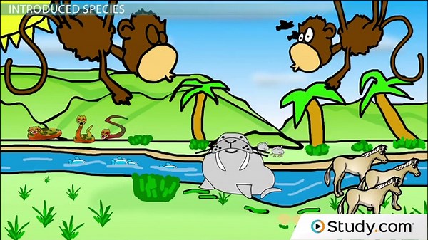 How Introduced and Invasive Species Alter Ecological Balance