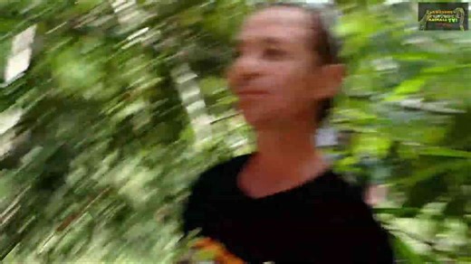 Hunting the mega king cobra | Wild animal adventure