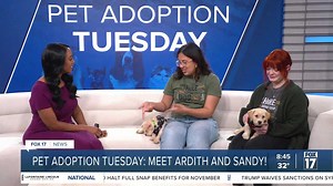 Pet Adoption Tuesday: Meet Ardith and Sandy!