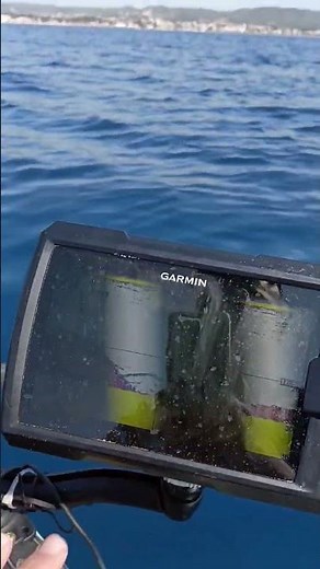 Interpreting fish finder.