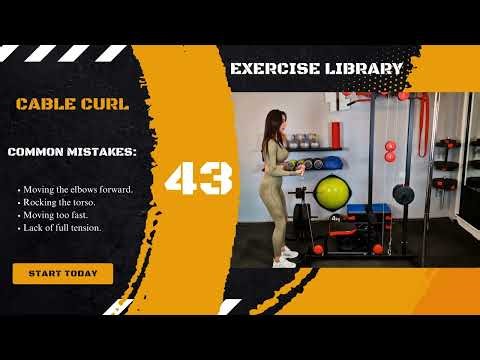 Cable Curl | nutritrainlab.com