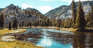 Parc naturel régional, parc national et réserve nationale : quelles différences ?