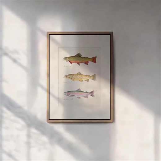 Trout Trio Watercolor Art Print: Australian Freshwater Fish - Etsy