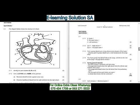 Grade 10 Life Sciences Term 4 | Final Exam Paper 2 of 2025