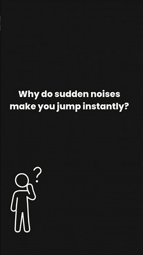 Why Your Body Jumps Before You Think