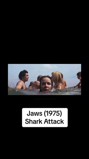 Get out of the water #jaws #sharkattack #shark #share #sharkweek #jaws1975 #movieclips #movie