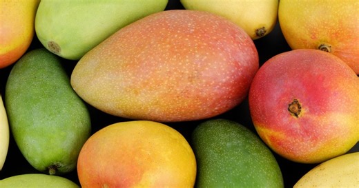 11 Fresh Mango Recipes for Dessert, Dinner or Drinks - Chatelaine