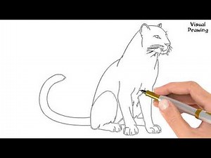 Easy Basic Pencil Drawings, How To Draw a Panther For Beginners Step By Step
