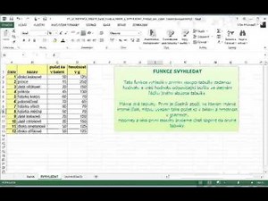 19 Excel Funkce RANK a SVYHLEDAT DUM