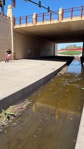 39K views · 48K reactions | One more teaser from this past week before we post a compilation. @michaelwoodby512 out in the streets of Lincoln #lincolnnebraska @nowearbmx | Nowear BMX | Facebook