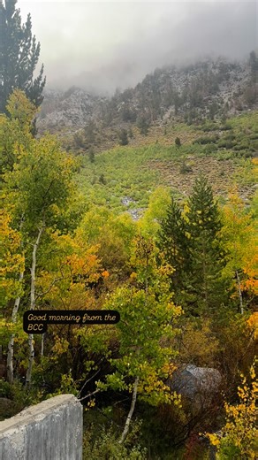 Lake Sabrina (Official) on Instagram: "Bishop Creek Canyon in September ❤️🍁 #yes2bishop #visitbishop #lakesabrina #bishopcreek #bishopcreekcanyon"
