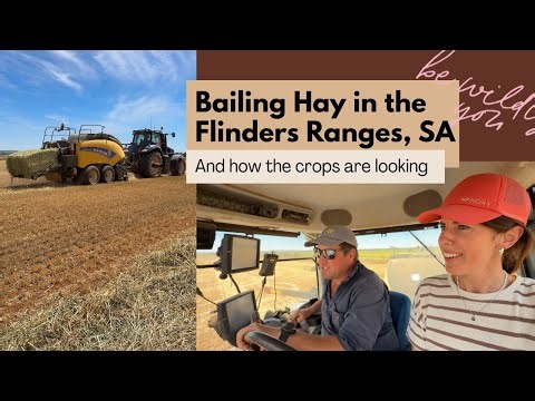 Baling Hay, Flinders Ranges | How the farming season is shaping up