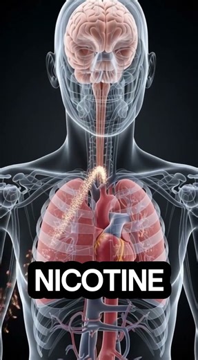 "What Happens If You Smoke Vape: Health Effects, Side Effects " #healtheducation #health