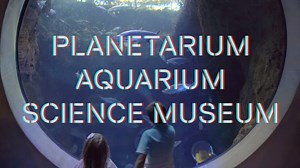 28K views · 59 reactions | Embrace your inner nerd at the Phillip and Patricia Frost Museum of Science in Downtown Miami’s Museum Park! | Phillip and Patricia Frost Museum of Science | Facebook