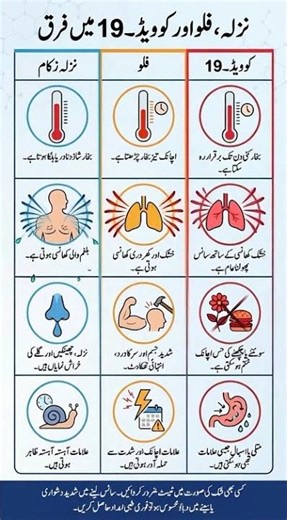 Key Symptoms of Common Cold, Flu, and COVID-19