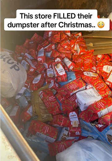 Incredible Dumpster Diving Finds After Christmas