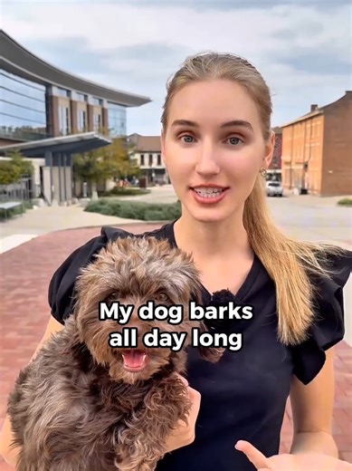 Master English Speaking Skills Effectively