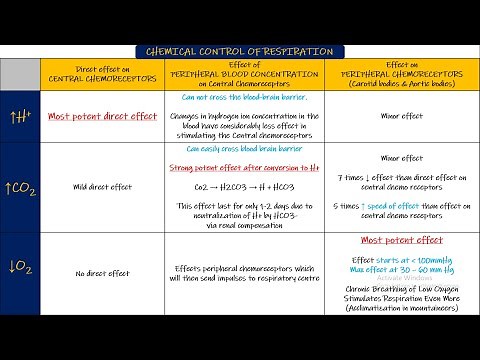 Chemical control of respiration. Respiratory physiology Chapter 42 part 2 Guyton and Hall Physiology