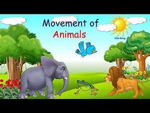 Movement of Animals | Animals movement for kids | Movement in Animals - Kids Entry