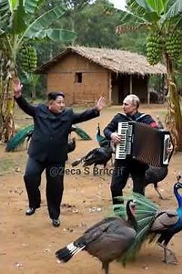 humor Zeca S Brito jf, #zecasbrito #caipira #fazenda #fypシ #lula #fypシ゚viral #zecasbrito #agro