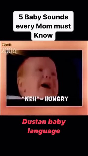 Momify - A complete guide from pregnancy to baby care | Follow @_momify for more such tips In 2006, Priscilla Dunstan appeared on The Oprah Winfrey Show to introduce her groundbreaking theory... | Instagram