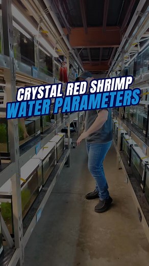 18K views · 192 reactions | Here are the ideal water parameters for...