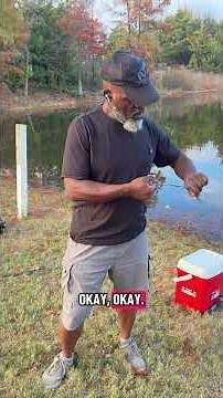 What is a silver bass? 🔥🎣🐟