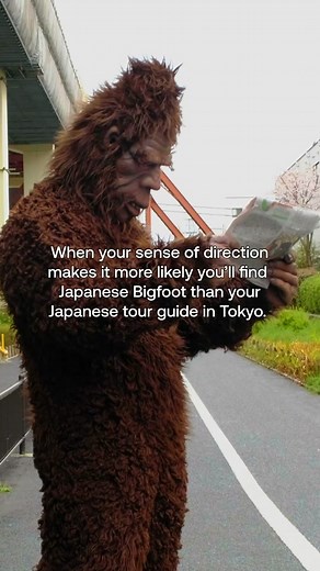 Travel with Confidence Using Viator