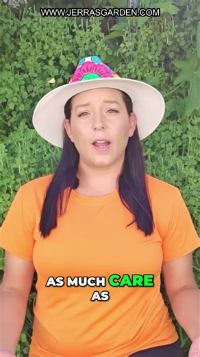 Grow Your Own Food! Fruit Trees Planting Guide