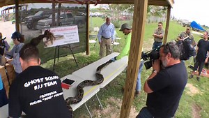 Milestone 1000th Burmese python eliminated from the Everglades