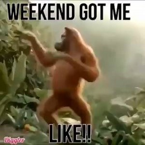 That Fly Out Day Feeling | Jobs in Mining